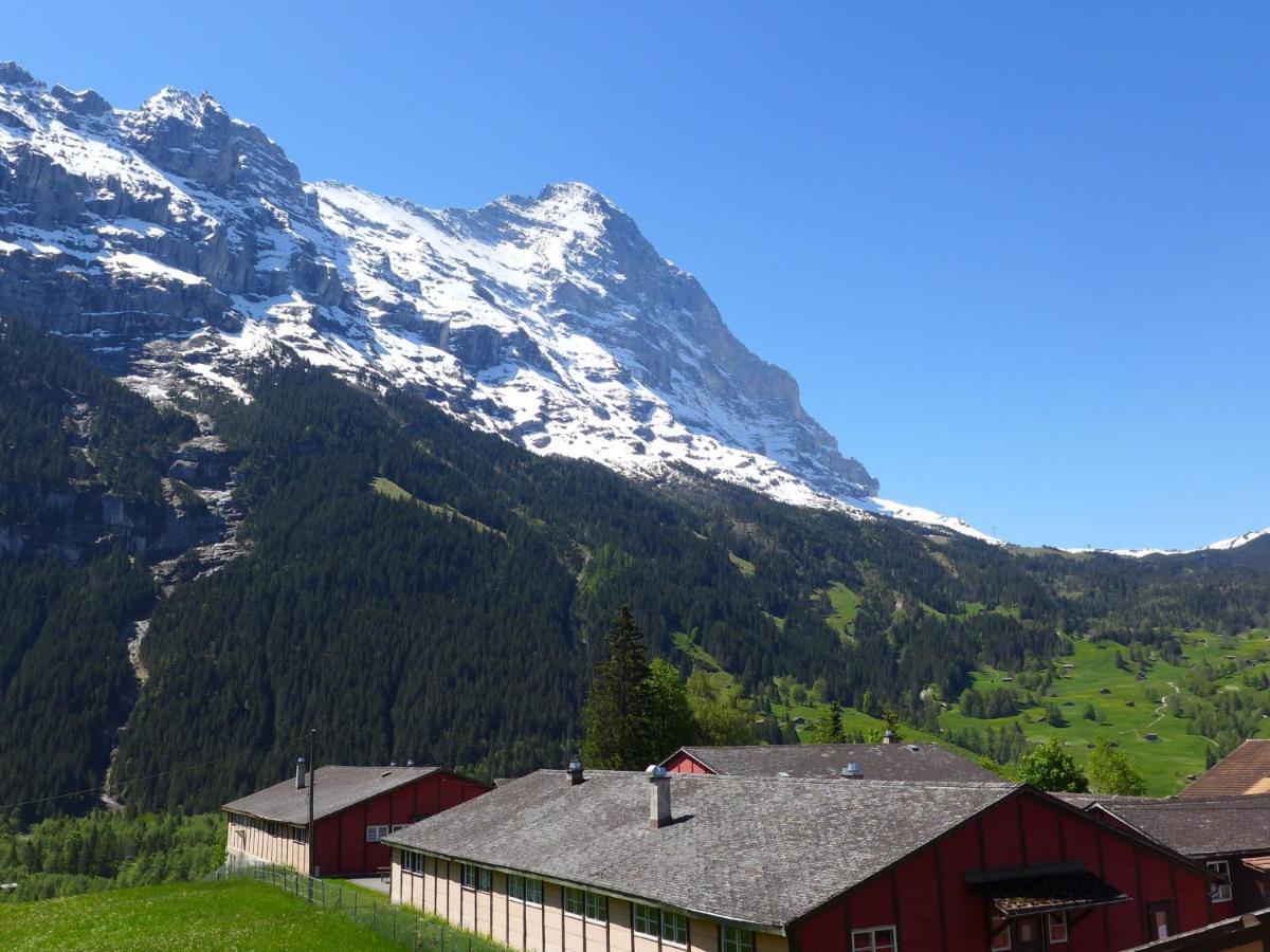 Apartment Chalet Almisgaessli By Interhome Grindelwald Kültér fotó