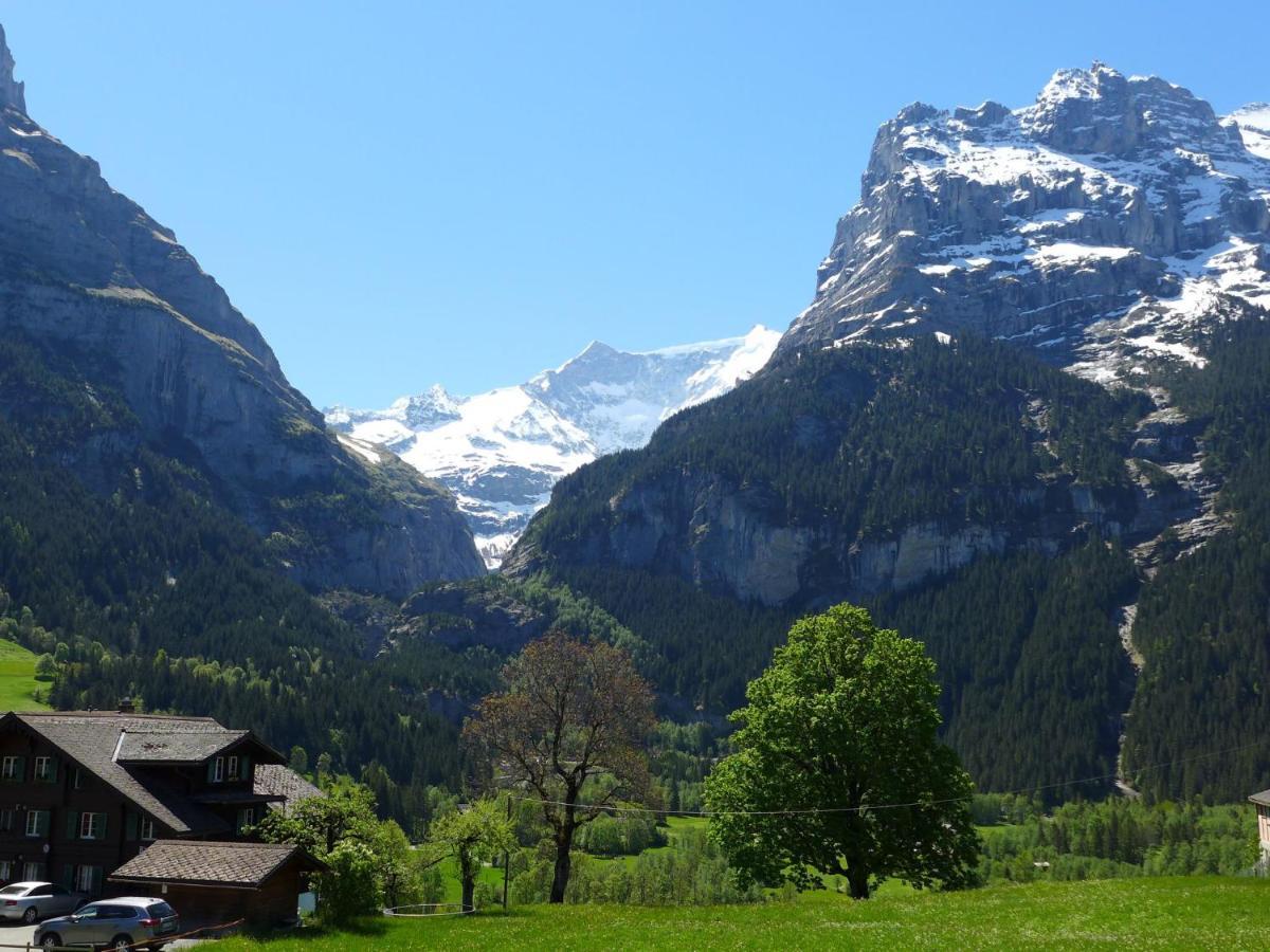 Apartment Chalet Almisgaessli By Interhome Grindelwald Kültér fotó