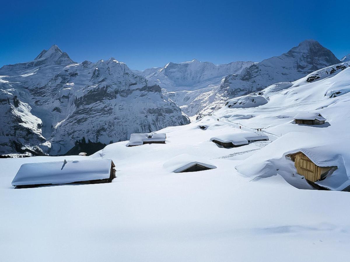 Apartment Chalet Almisgaessli By Interhome Grindelwald Kültér fotó